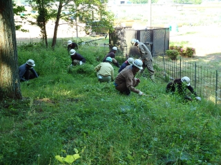 カンチ安食の森活動② 2/2